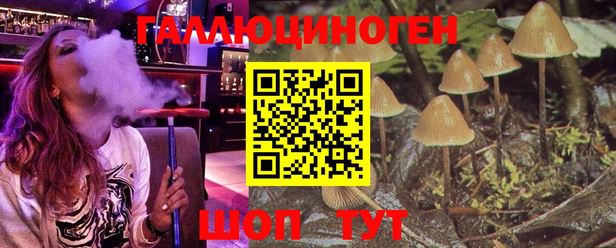 Галлюциногенные грибы GOLDEN TEACHER Юрга